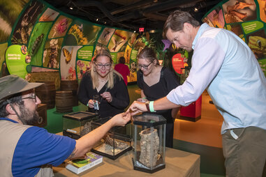 Audubon Aquarium and Insectarium