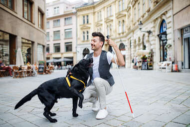 Man with cane and guide dog on city street