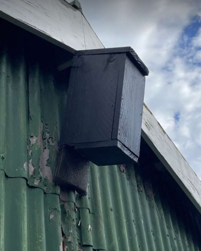 bat box