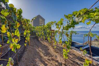 where to stay madeira
