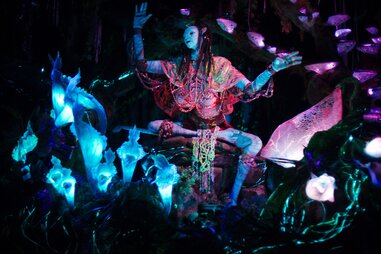 Na’vi River Journey