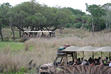 Kilimanjaro Safaris