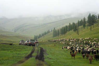 driving in mongolian steppes
