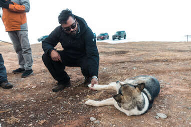 man with dog in russia