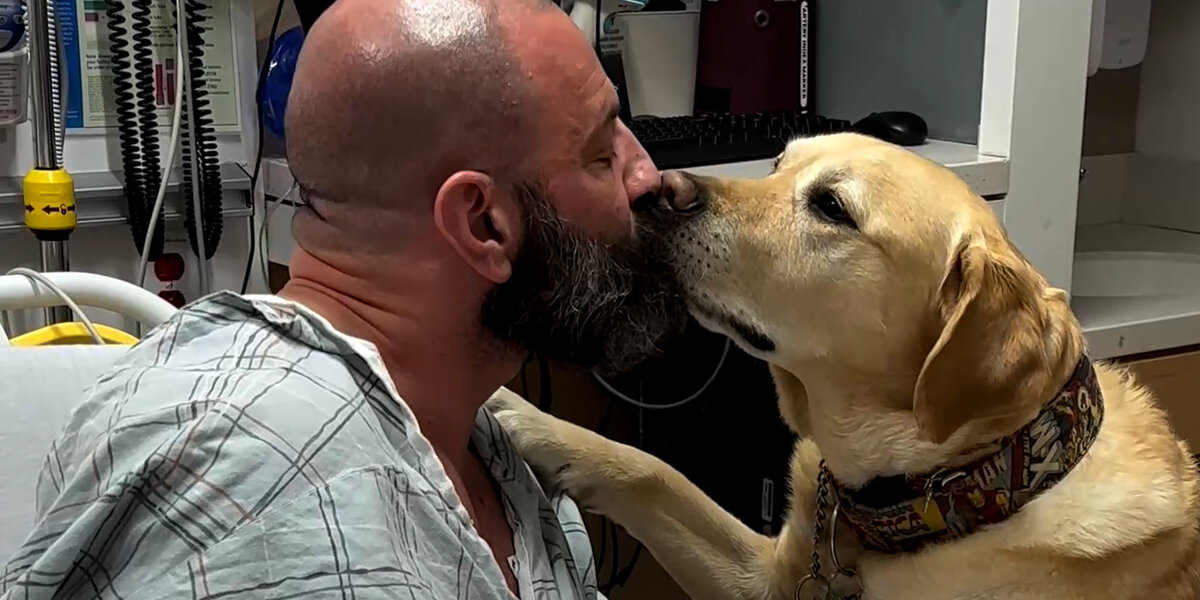 Dog Refuses To Leave His Dad's Hospital Bed - Videos - The Dodo