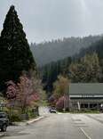 Quincy museum and forest