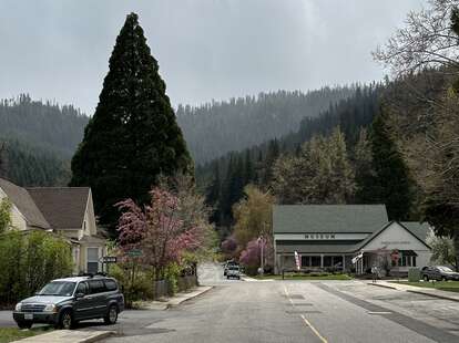 Quincy museum and forest