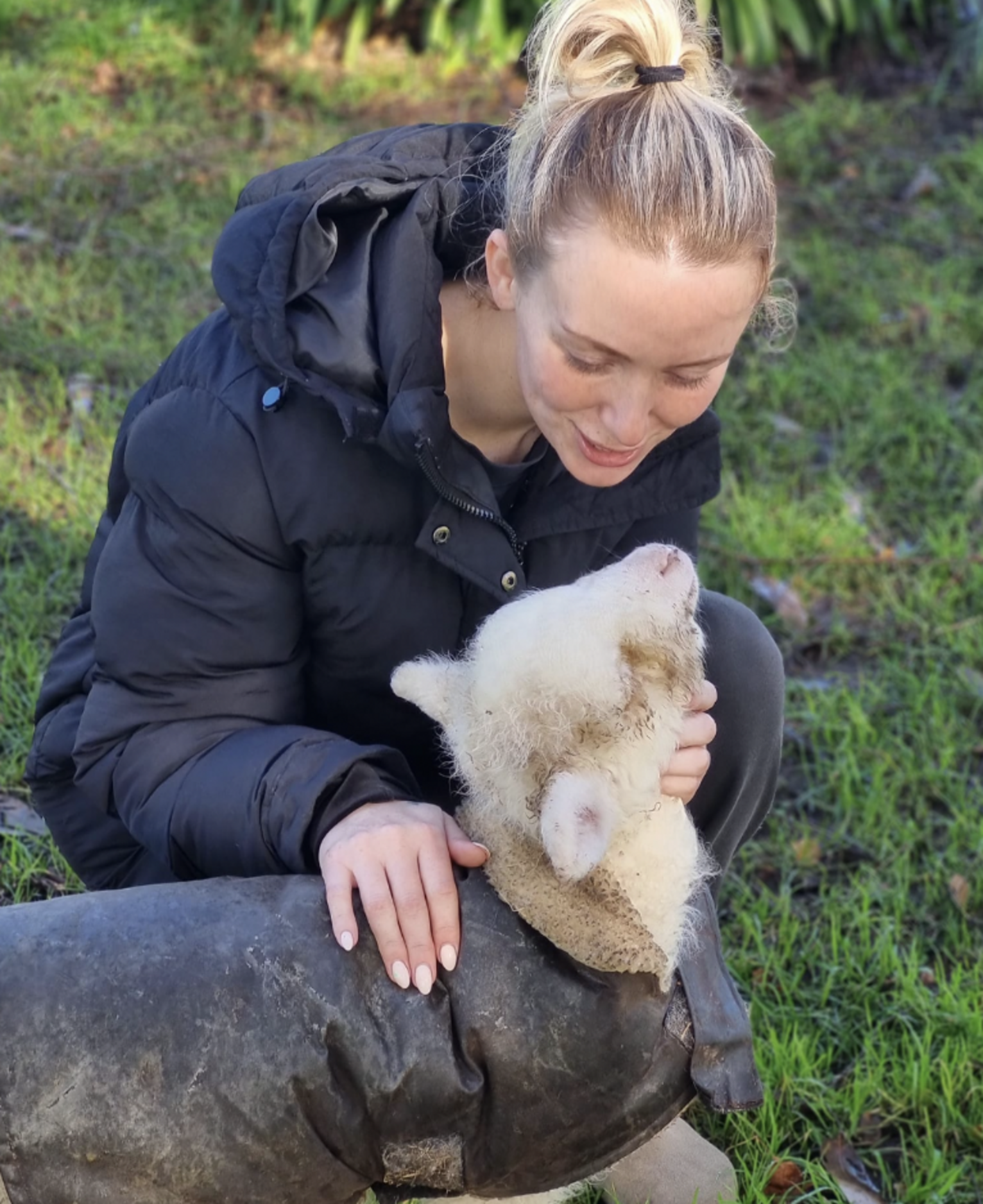 Orphaned Lamb Reunites With Rescuer And Immediately Melts In Her Arms ...