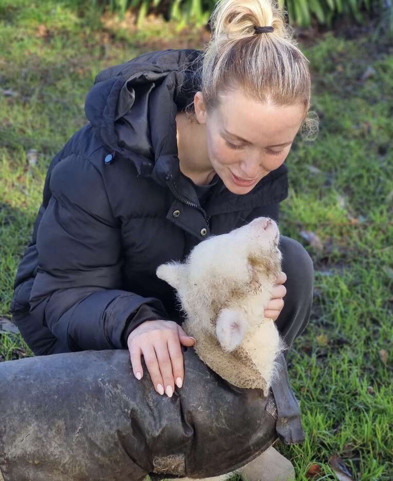 woman petting lamb
