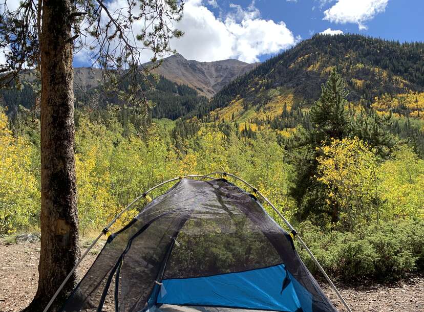 Easy Rider Girls At Campground