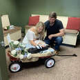 wedding at vet hospital