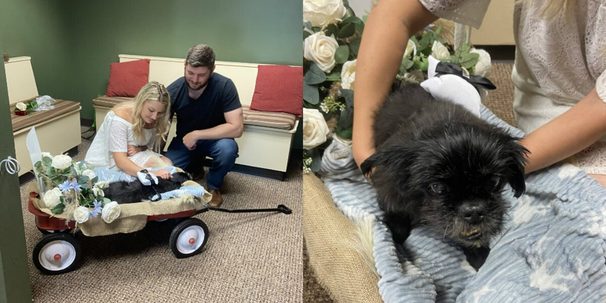 Couple Holds Last-Minute Wedding At Vet So Their Dog Can Be There Too