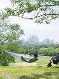 man in hammock in toronto ontario park