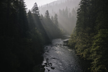 River with trees on the banks