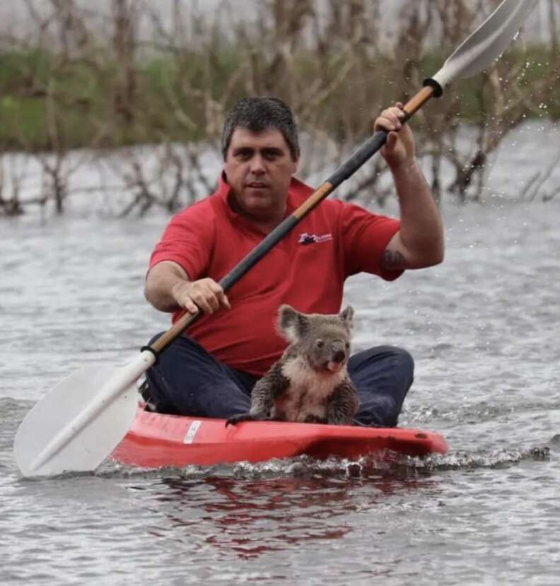 man paddling with koala