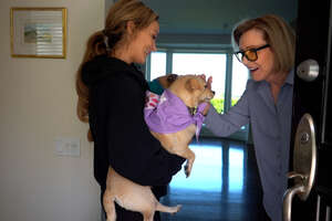 Tiny Dogs Who Were Chained Up Insist On Getting Adopted Together