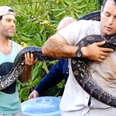 Guys Rescue A Mama Python — And Her 40 Eggs