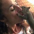 Squirrel Visits His Rescuer Every Day For Years