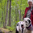 Great Dane Finds a New Grandma On Hiking Trail