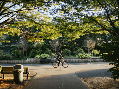 A bicyclist enjoying a bike ride in Seattle, Washington