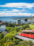 wellington