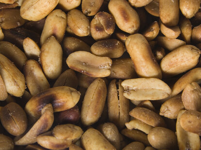 roasted peanuts