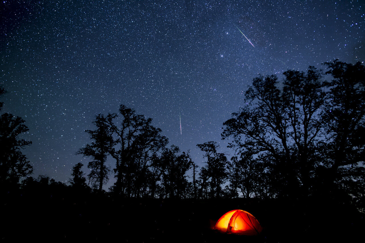 Escape the Bright Lights for the Best Stargazing in and Around Los Angeles