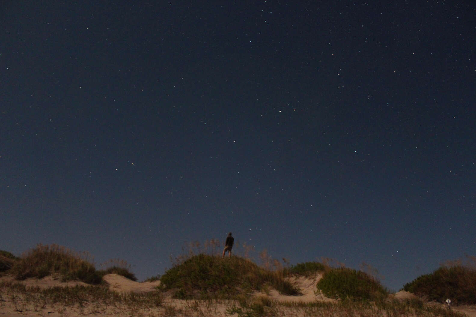 Flickr/Will Fisher