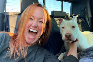 Woman Couldn't Get This Senior Shelter Pittie Out Of Her Head