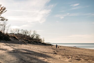 people walking along beach at indiana dunes