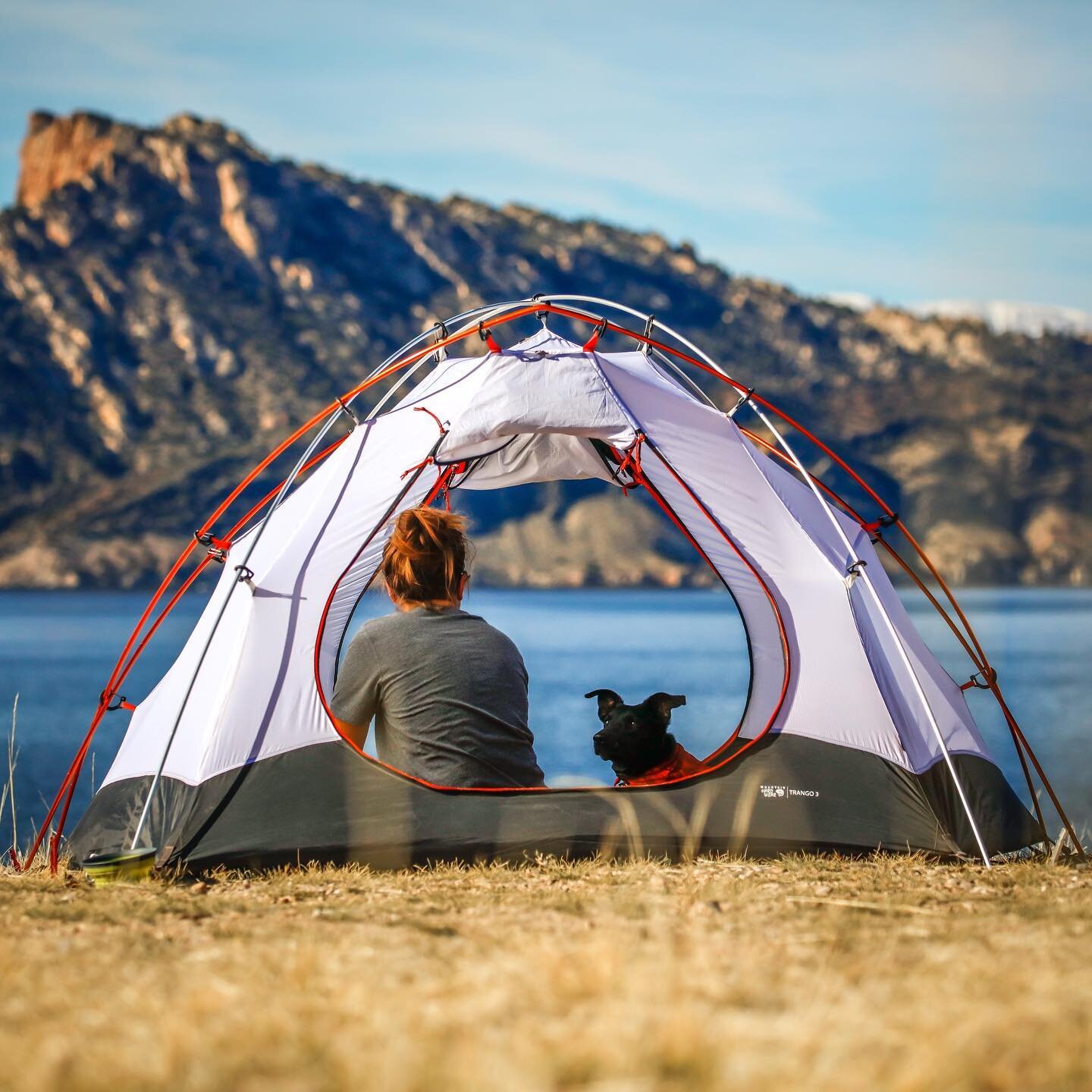 Woman and dog in tent