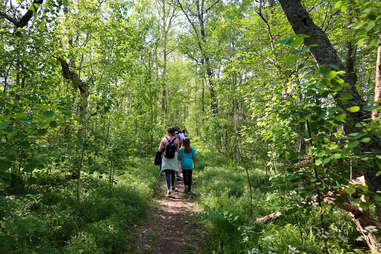 ulko-tammio island finland phone free hiking trail