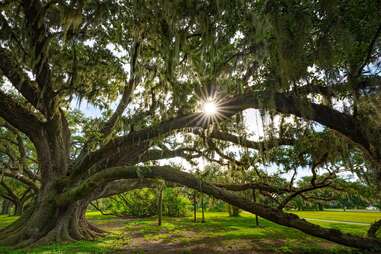 New Orleans City Park