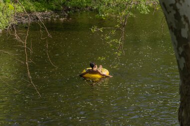 Neversink River Resort
