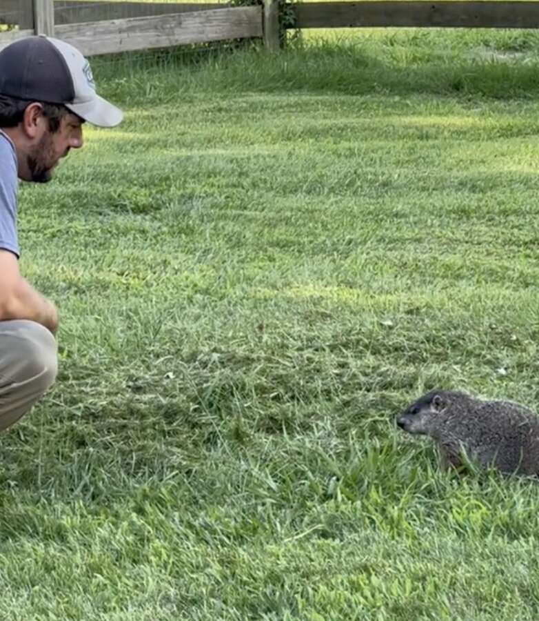 man and groundhog