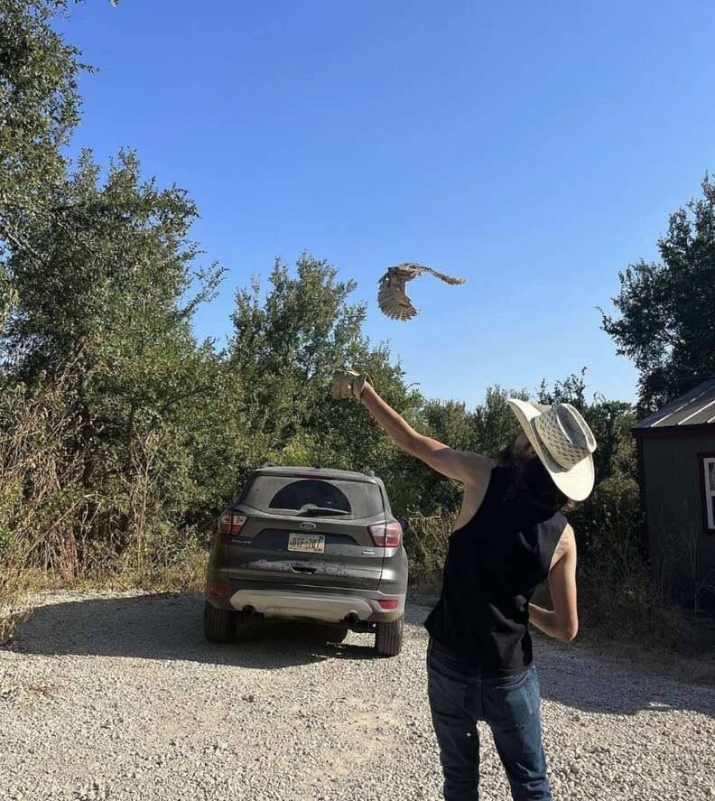 owl flying away