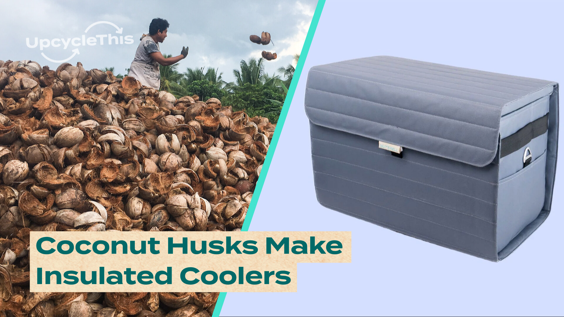 WATCH: Company Creates Coolers Out of Coconuts