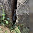 Construction Workers Call For Backup When They See A Face Trapped Between Rocks