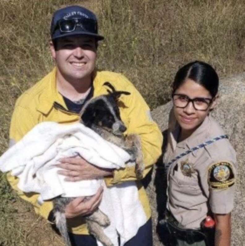 rescuers with puppy