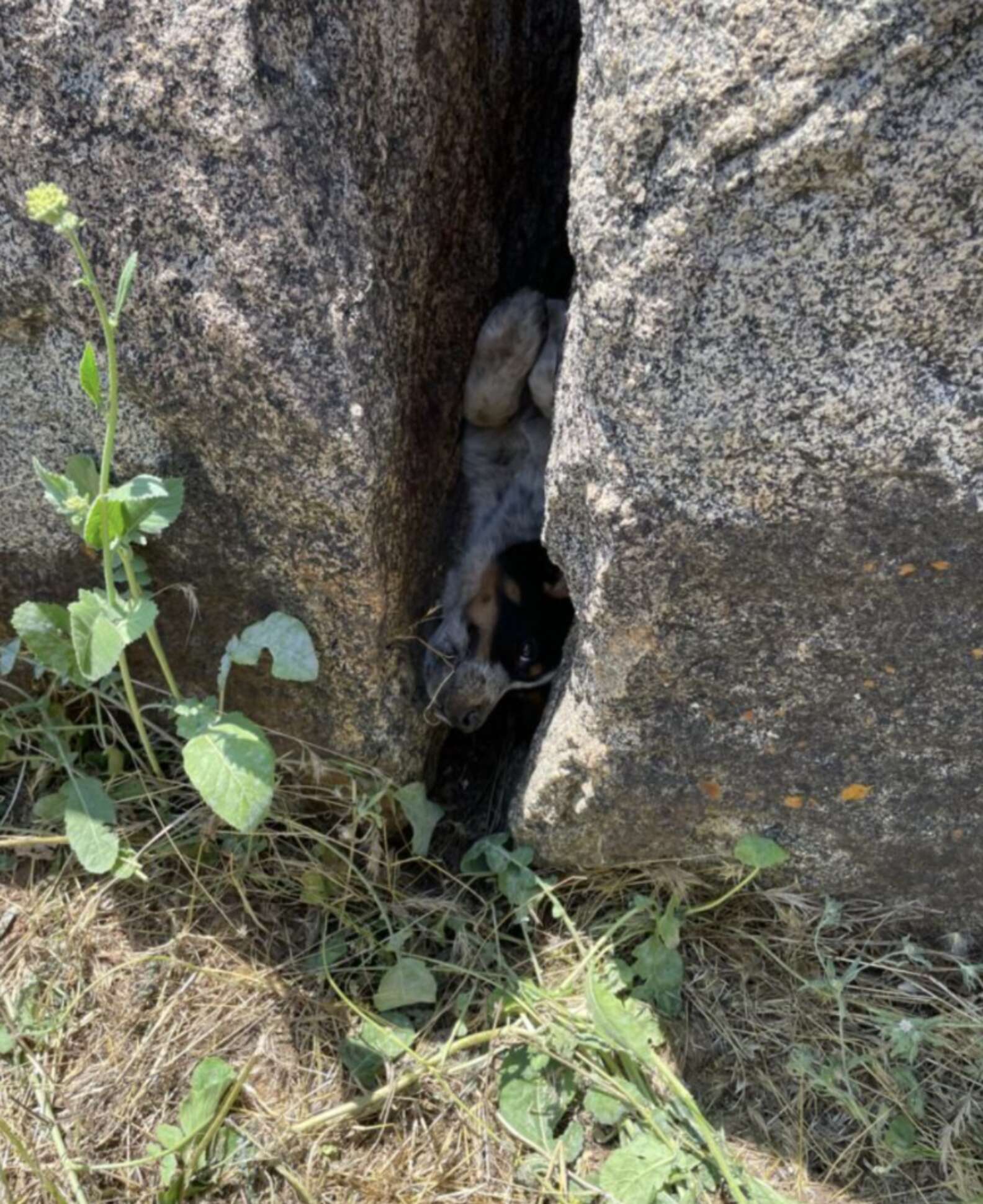 Stuck Between Two Rocks Construction Workers Call For Backup When They See A Face Trapped ...