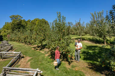 Jeter Mountain Farm