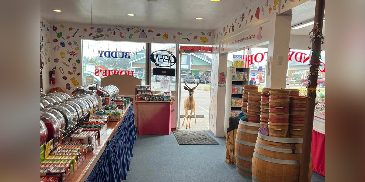Candy Shop Owner In Disbelief When She Sees Who Walks Through The Door