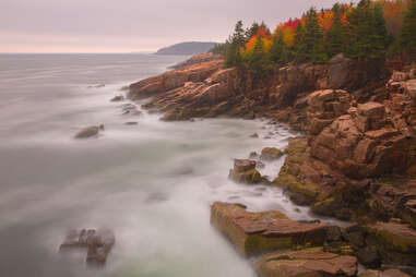 Acadia in the fall