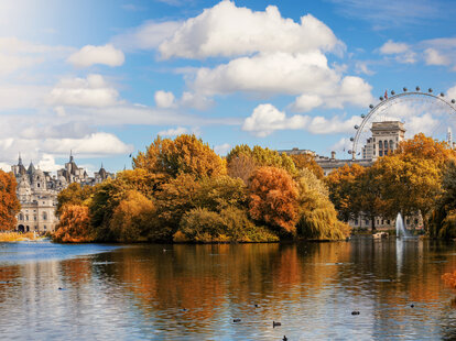 View towards St. James Park in London during autumn season with golden trees and sunshine, United Kingdom.
