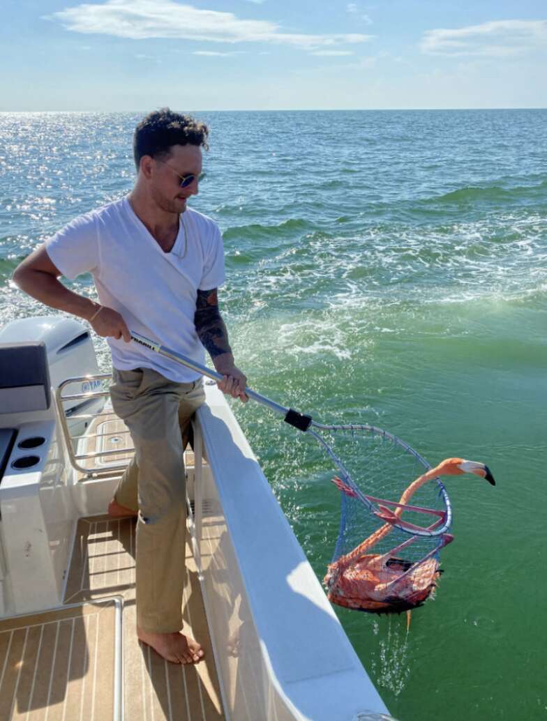 man helping flamingo