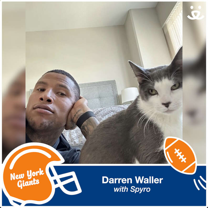 NFL Stars Celebrate Return Of Football By Showing Off Pets They Adopted -  The Dodo