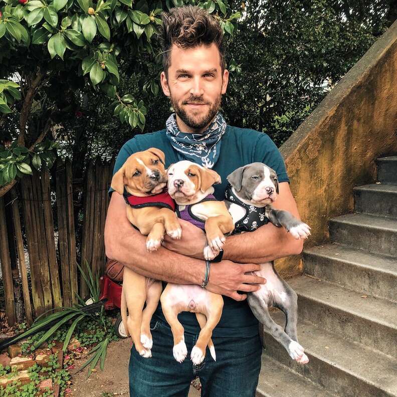 Foster dad snuggles pittie puppies