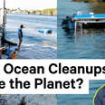 Can Ocean Cleanups Save the Planet?