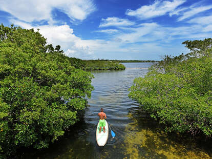 Key Largo paddleboarding