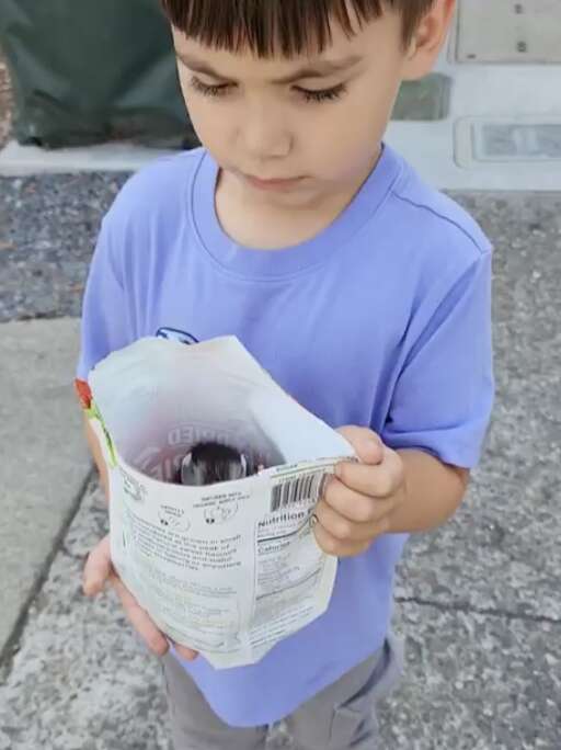 boy holding possum